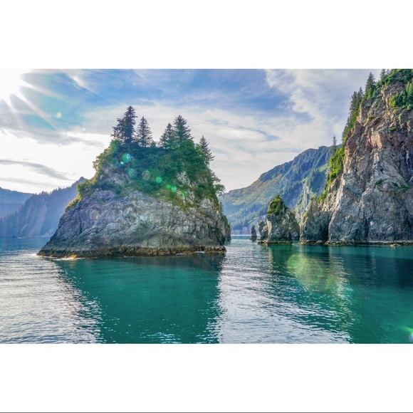 Meet your Posher,Penny - Picture 7 of 7